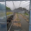 반곡농장 이미지