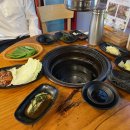 영산강장어 이미지