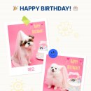 몽벨로 펫 케어센터 이미지