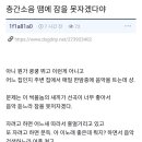 페트리코 이미지