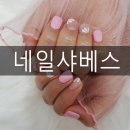 네일샤베스
