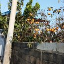 기룡마을회관 이미지