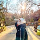 룽 - 창녕군 대신새길 4 | 룽
