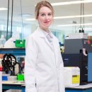 치킨 스캔들 이미지