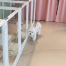 멍설유치원 이미지