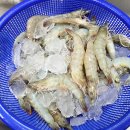 만중회수산 | 남당항 맛집 대하 택배를 집에서 편하게받아유~