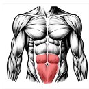 PT특별관 이미지