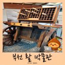 부천활박물관 | 부천 활박물관 후기 | 원미산 진달래 동산 코스 추천