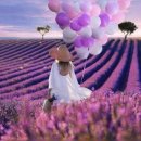 (주)스튜디오8 이미지