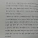 강아지 나라 이미지