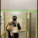 아이엠 동물병원 | 서울 마포구 강아지 슬개골 탈구 양쪽 수술 2기~3기, 재활부터 비용까지. 아이엠동물병원