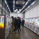 뽑아봅세 네이버블로그