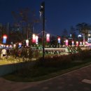 청사초롱 이미지