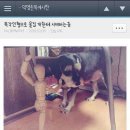 같이