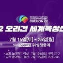 스카이스포츠 이미지