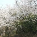 자산동244 이미지