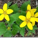 하늘담한의원 이미지