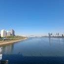 뚝섬한강공원-53 이미지