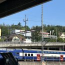 자연농업이리온 | 2nd day of Switzerland (부제: Zurich, Luzern,그리고 납작복숭아)