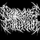 Necrotic Sepsis Eruption - Cannibal Persecutor 이미지
