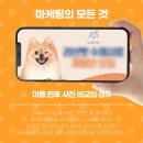 집에서도 간단히 반려견 미용 이미지