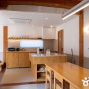 배동스테이 이미지