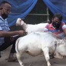 소보소농장 이미지