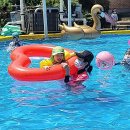 신흥수영장 이미지