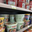 주미목장 | 강원도 숙소 추천 '켄싱턴 설악밸리' 조식 도시락, 사슴 양목장, 부대시설