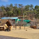 고기굽는마을 | 대구 근교 가족 나들이 우포늪체험장 놀이터와 고기굽는마을 방문 후기