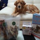 맛보시개 이미지