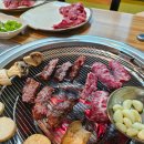 2024년 11월의 일상 (생일주간, 인터불고 뷔페, 대구수목원, 앞산전망대 등등)