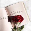 가시버시 이미지