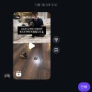 금비약국 | 일상기록: 12월 넷째주 (부제: 크리스마스)