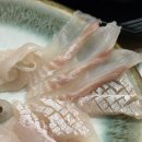 양정횟집 - 거제시 양정2길 46 | 부산 양정 단체 룸 자연산 도다리 횟집 추천 N번째 내돈내산 후기