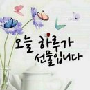 💟 주부들이 탄생시킨 "생활의 지혜" 이미지