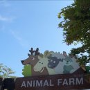 켄싱턴호텔평창 실외수영장 이미지