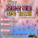 제1회 보문산 벚꽃 전국가요제 알림~ 이미지