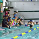 순창군 실내수영장 이미지