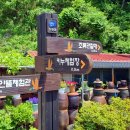 식파정 이미지