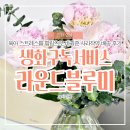 생화구독 온라인 꽃집 라운드블루미 추천, 사라작약 꽃 구독 택배 배송으로 받아본 후기