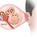 여의도이비인후과의원 이미지