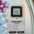 해태거리길 사거리 | 속초술집 추천 청학동사거리에서 김치찌개와 옛날 도시락 먹고 온 솔직후기