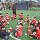 유일 효 태권도 이미지