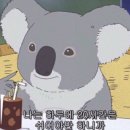 국밥마을
