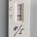 대성메디팜 이미지