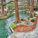 (주)베네치아개발 이미지