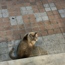 호텔제스 이미지