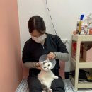 미용하냥 이미지