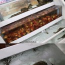 반야월회센타